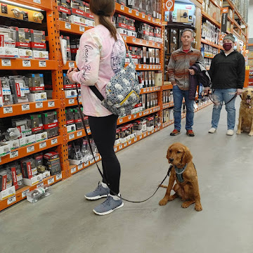 Group Training Session