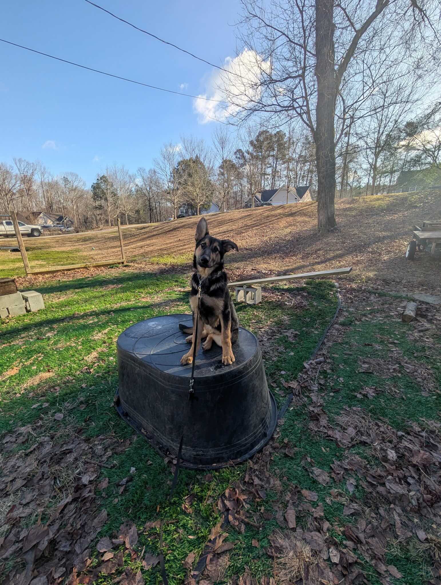 GSD Place Command